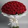 Букет 101 Красная роза Блэк Мэджик в Горки-2