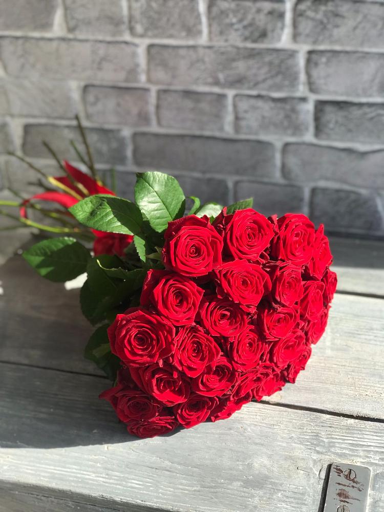 Букет Красные розы Фридом в Горки-2