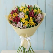 Букет цветов из:  Альстромерии #REPLACE_PRED# Горки-2