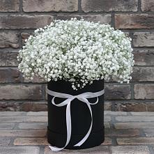 Цветочная композиция из Гипсофила в шляпной коробке в Горки-2