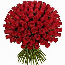 Букет Красные розы Чери Лав в Горки-2