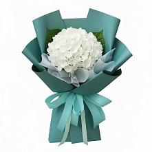 Букет цветов из:  Гортензия в Горки-2